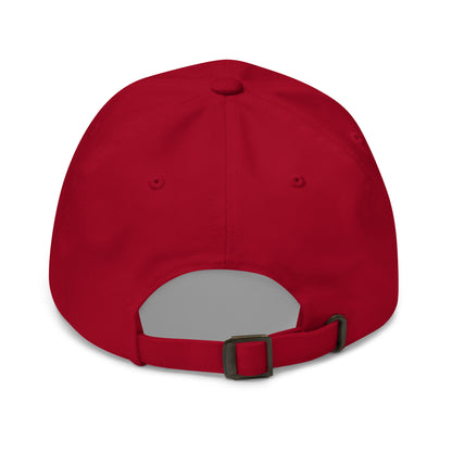 cap-from-the-back-with-danish-flag