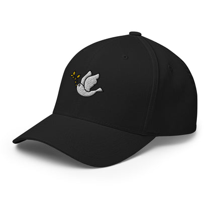  cap-from-the-front-with-holy spirit-symbol