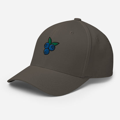 cap-from-the-front-with-blueberry-symbol
