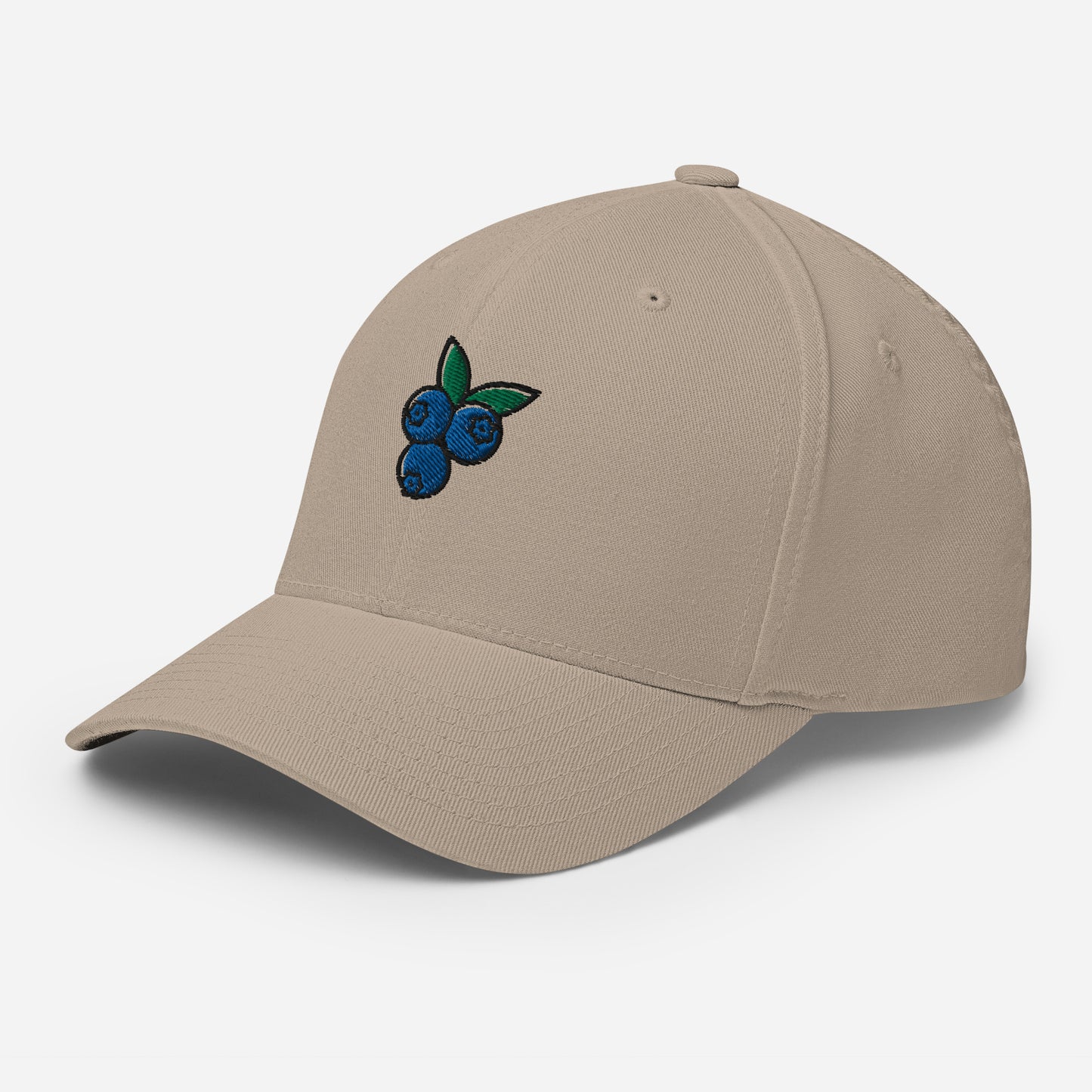cap-from-the-front-with-blueberry-symbol