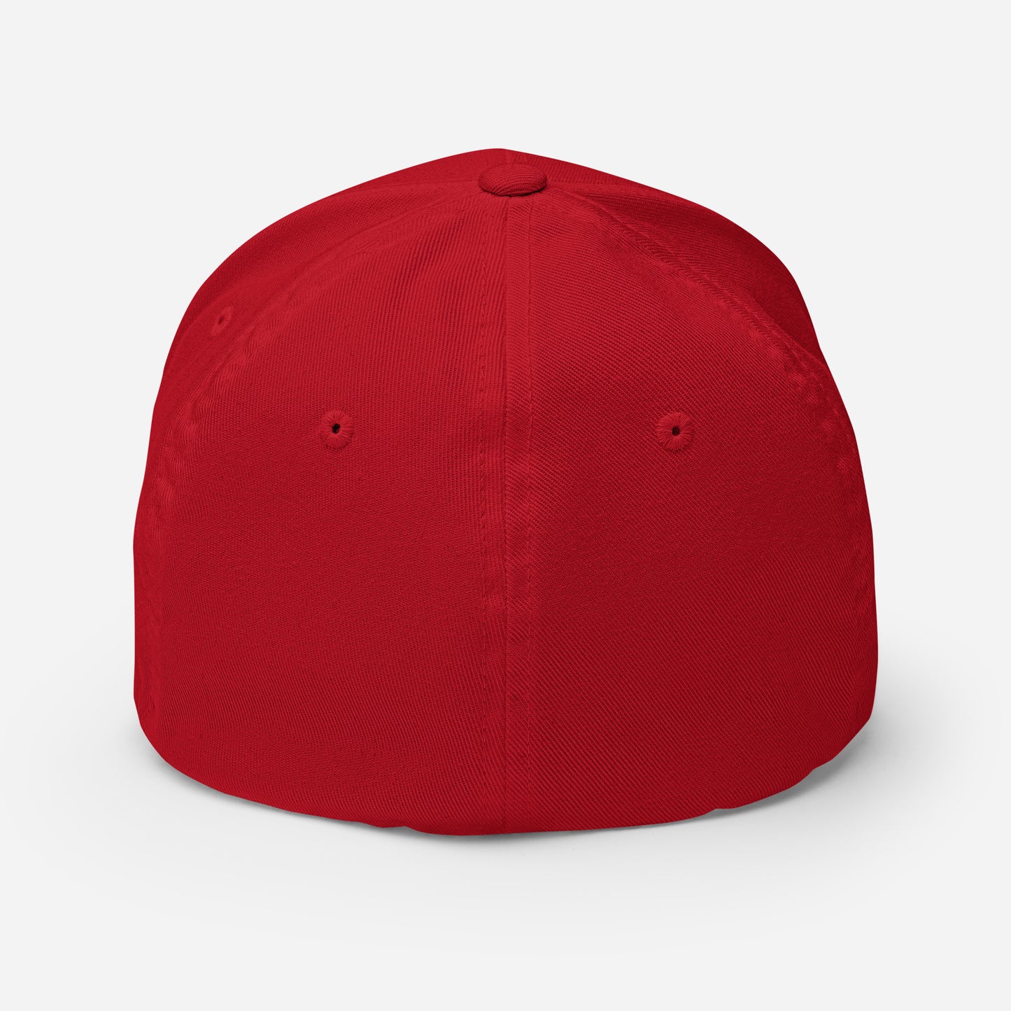 cap-from-the-back-with-swiss-flag